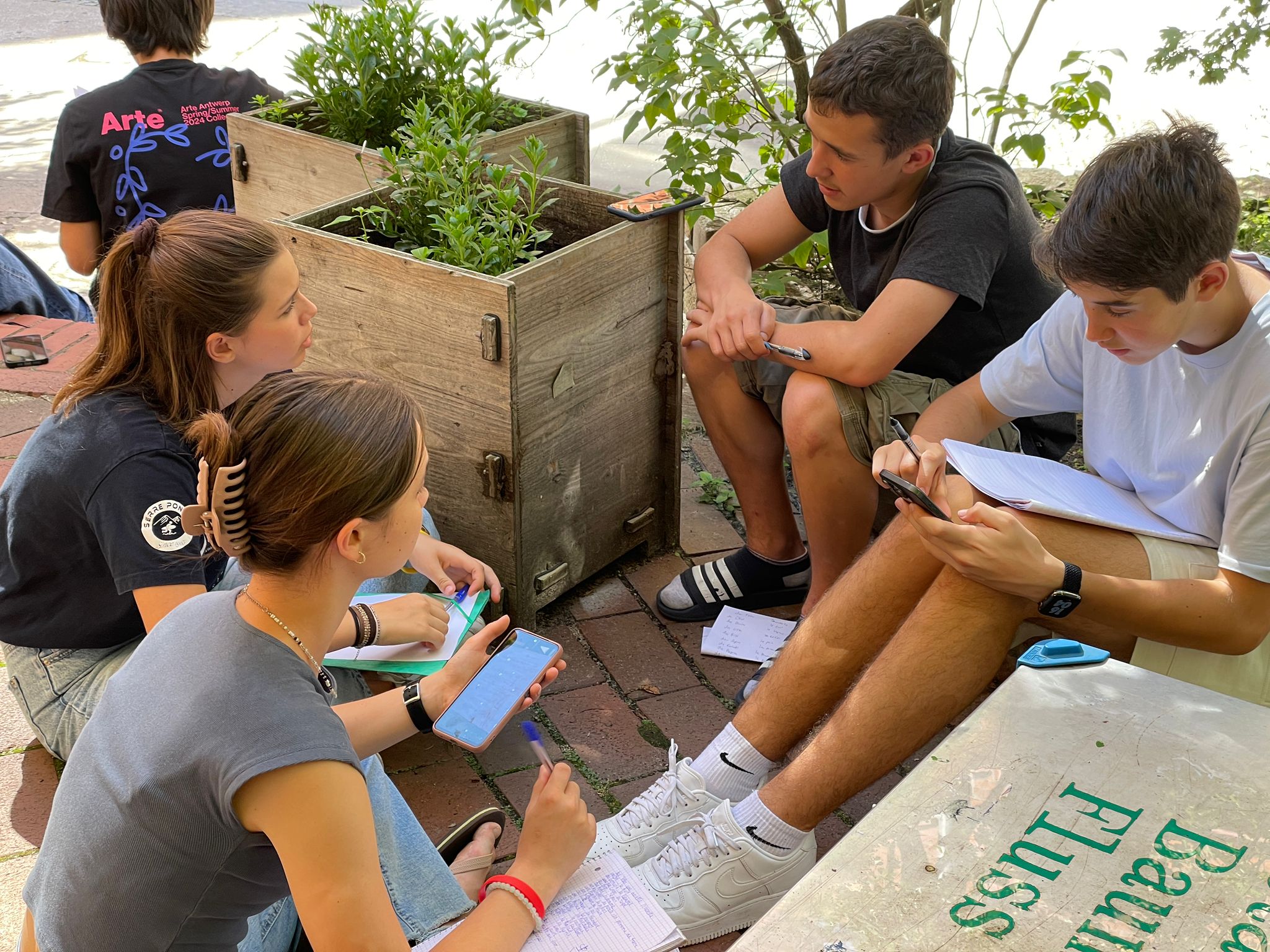 photo 3 TD P1100555.jpeg