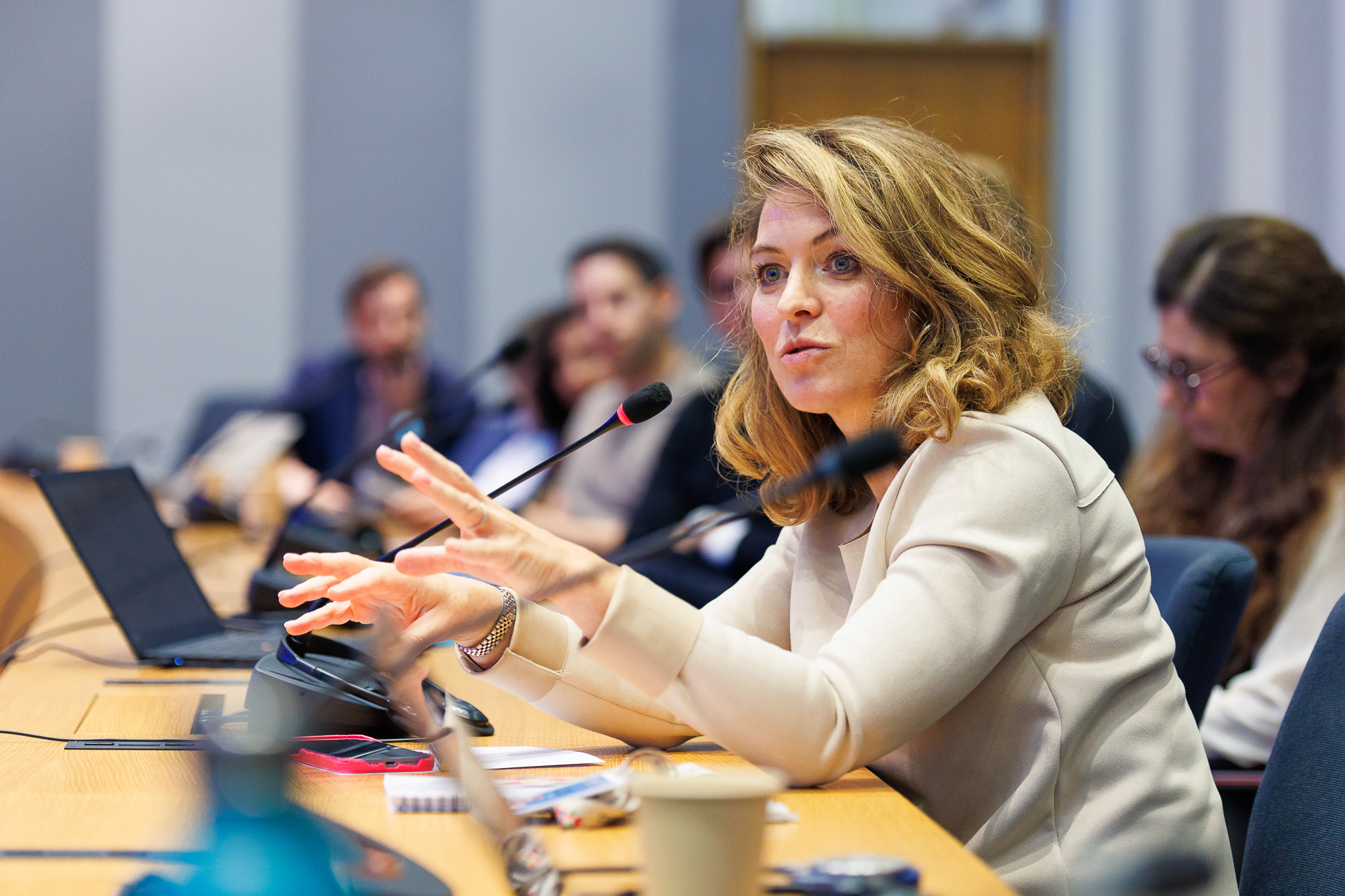 Discussion « Démocratie en Europe : une perspective depuis le Conseil Européen » avec Simonetta Cook, Conseillère du Président du Conseil Européen