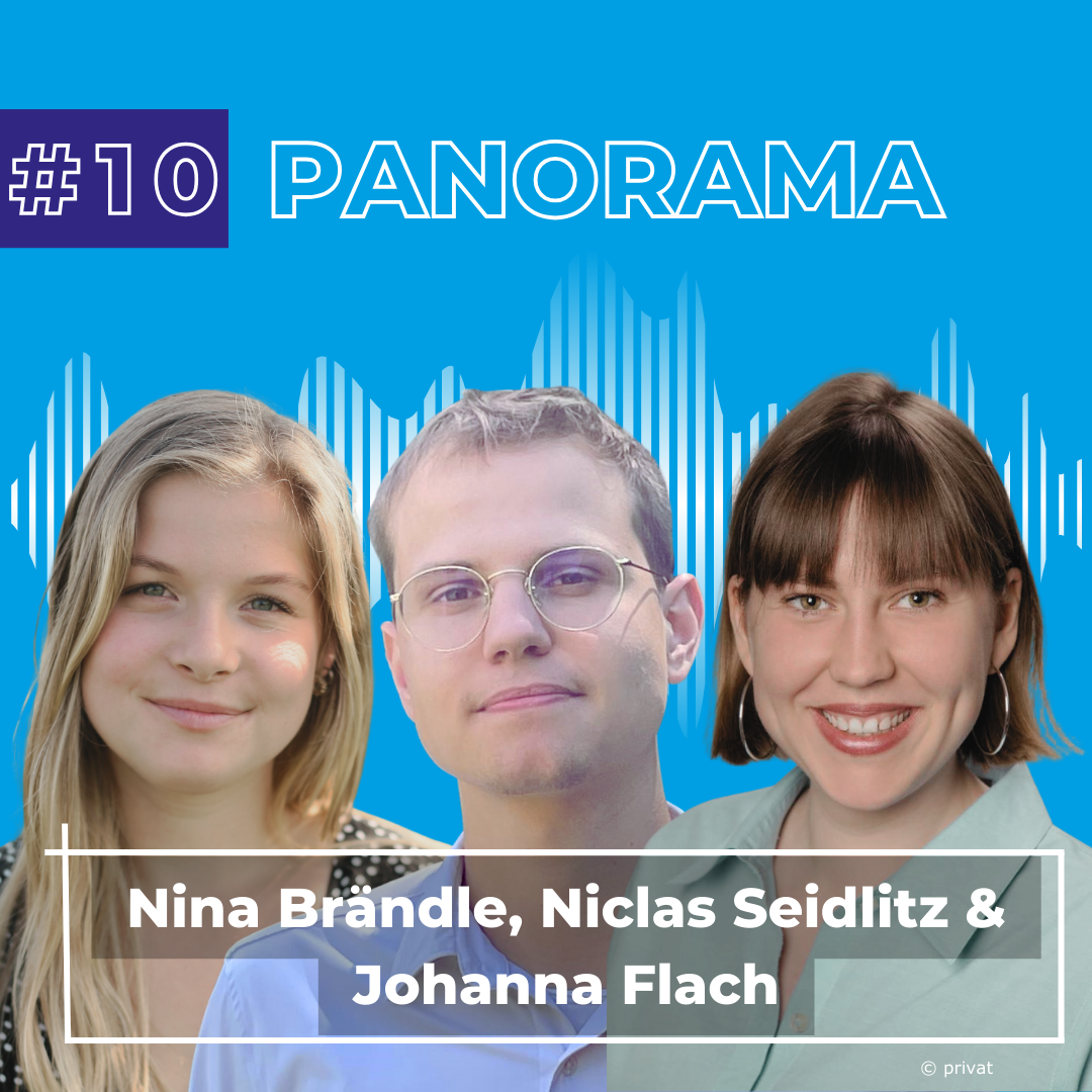 PANORAMA #10