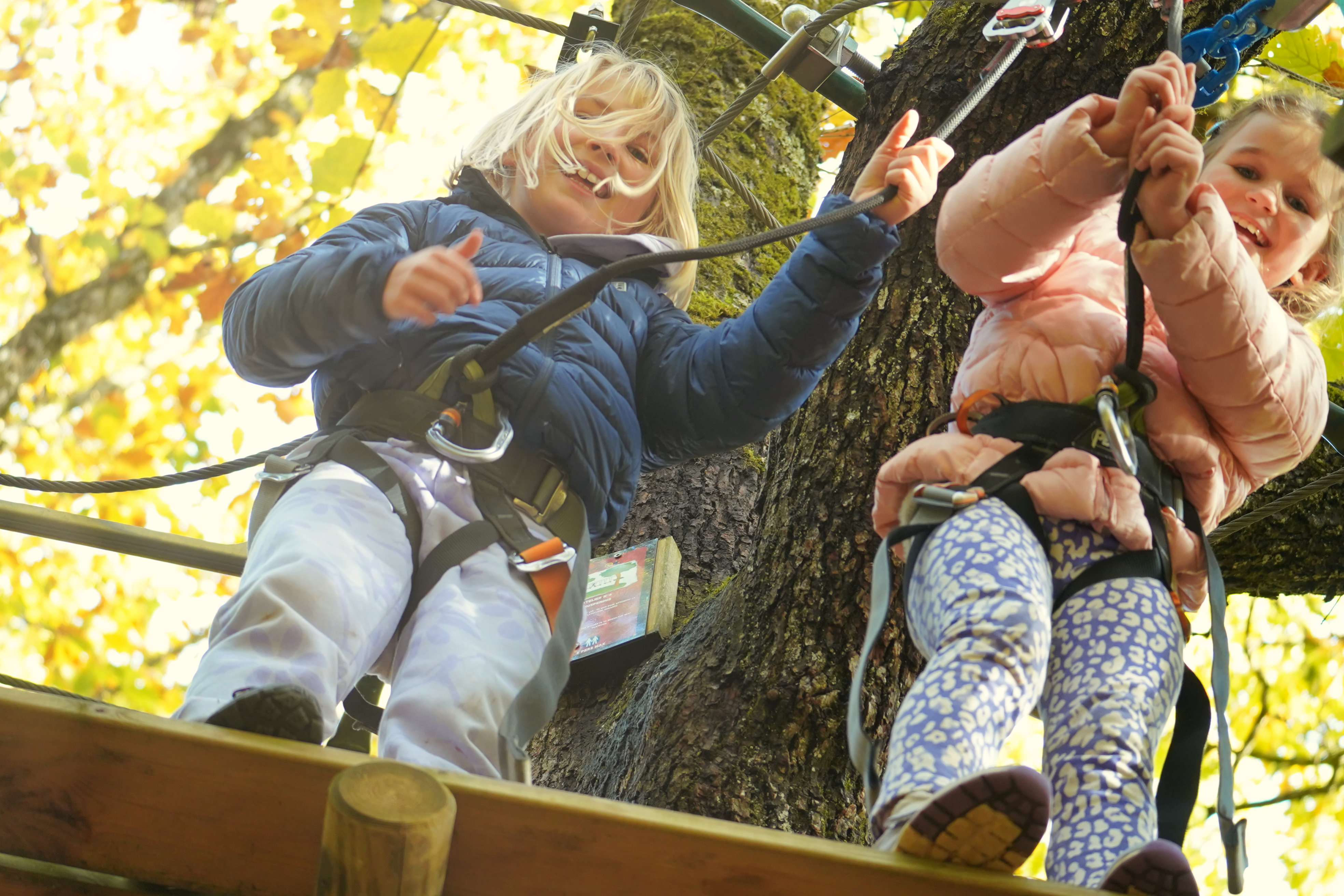 Visite au parc d'accrobranche
