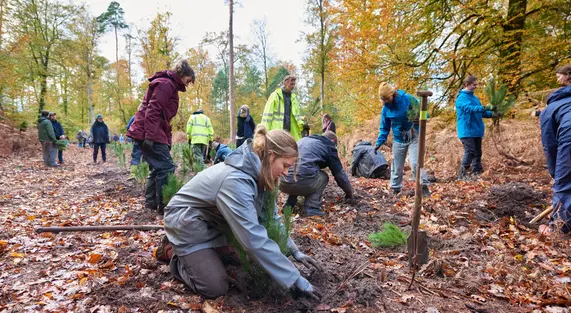 Des jeunes en train de planter des arbres