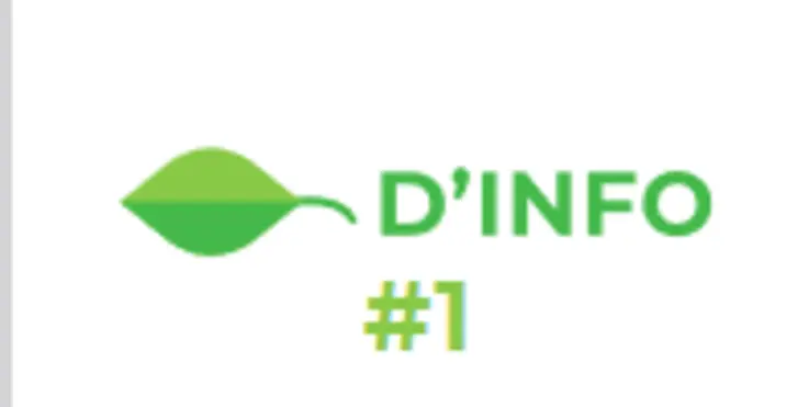 fiche-dinfo.png
