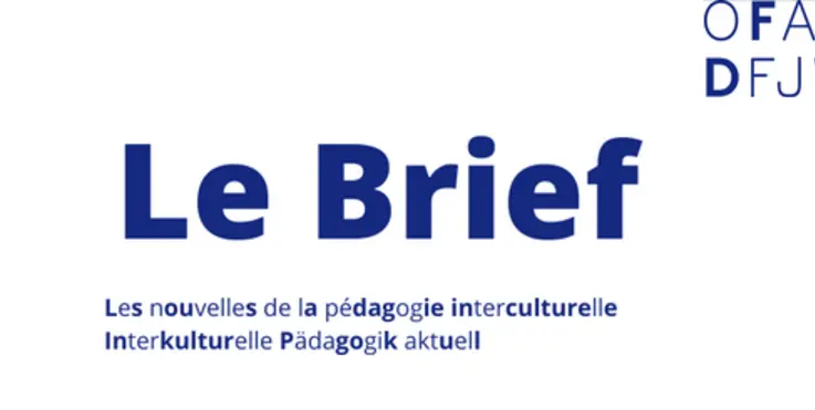 le_brief.png