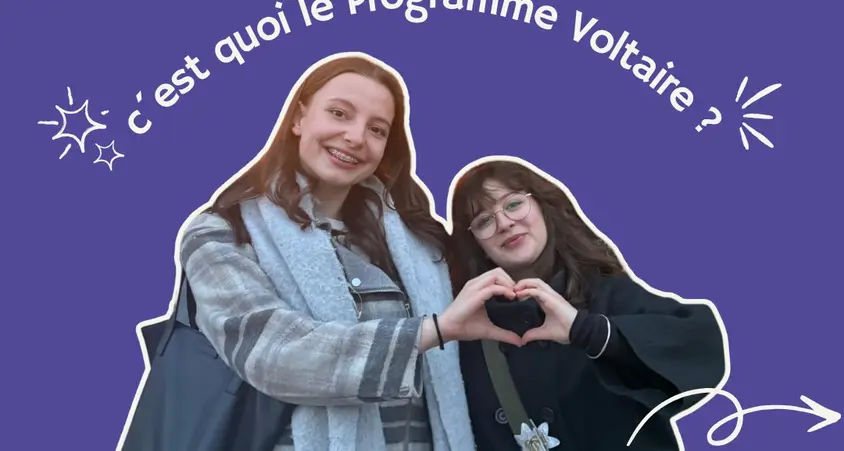 Programme Voltaire