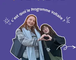 Programme Voltaire