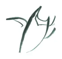 svg+xml;charset=utf-8,%3Csvg%20xmlns%3D'http%3A%2F%2Fwww.w3.org%2F2000%2Fsvg'%20viewBox%3D'0%200%201%201'%2F%3E