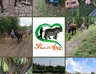 les-activites-page-d-accueil.png