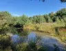 Moor