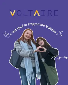 Programme Voltaire