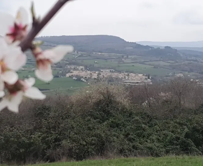 paysage.jpg