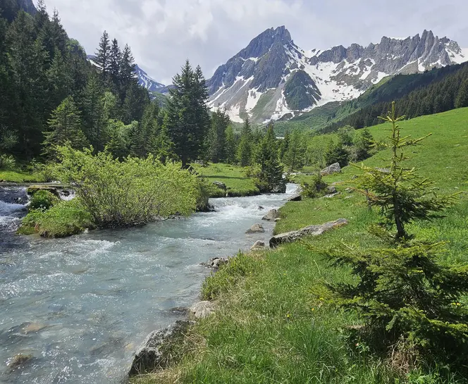 Une belle rivière alpine